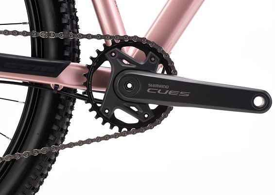 ctm-charisma-4-0-29-staroruzova-2026-d2